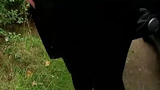 ತಾಯಿ