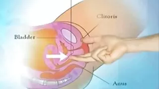 ಮಾದಕ ಯೋಗ
